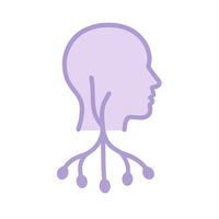 <p>Vagus Nerve – The relaxation pathway </p>